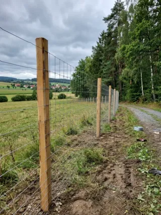 Wildzaun in Saarland - fachgerechte Ausführung vor Ort